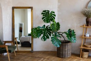 Come scegliere gli specchi: 5 consigli per la casa